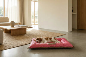 Cama Solo Pet: Conforto, durabilidade, praticidade e beleza, em um único lugar !