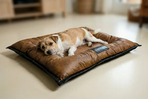 Cama Solo Pet: Conforto, durabilidade, praticidade e beleza, em um único lugar !